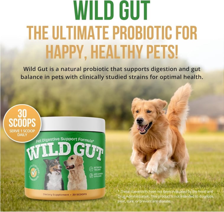 wildgut